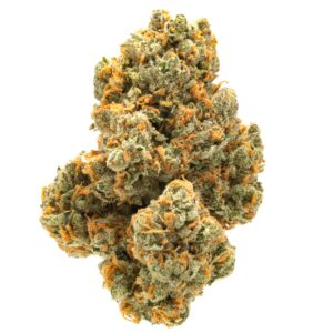 Buy Green Crack: Your Go-To Sativa for Focus