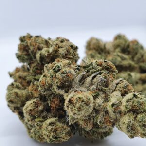 Chocolope: Chocolatey Delight for Creativity