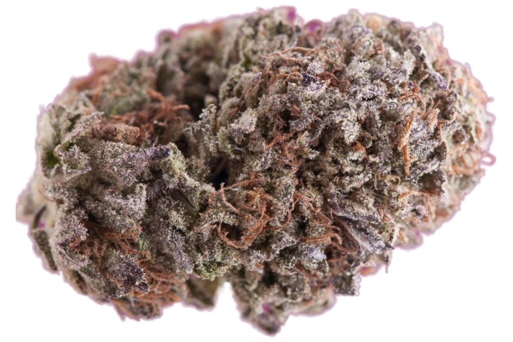 Buy Purple Kush: A Sweet Escape into Relaxation