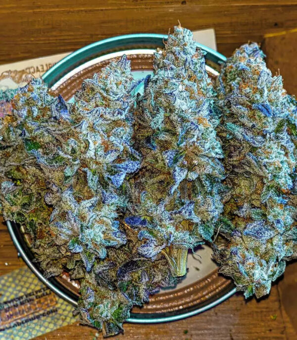 Bubba Kush: The Heavy-Hitting Indica